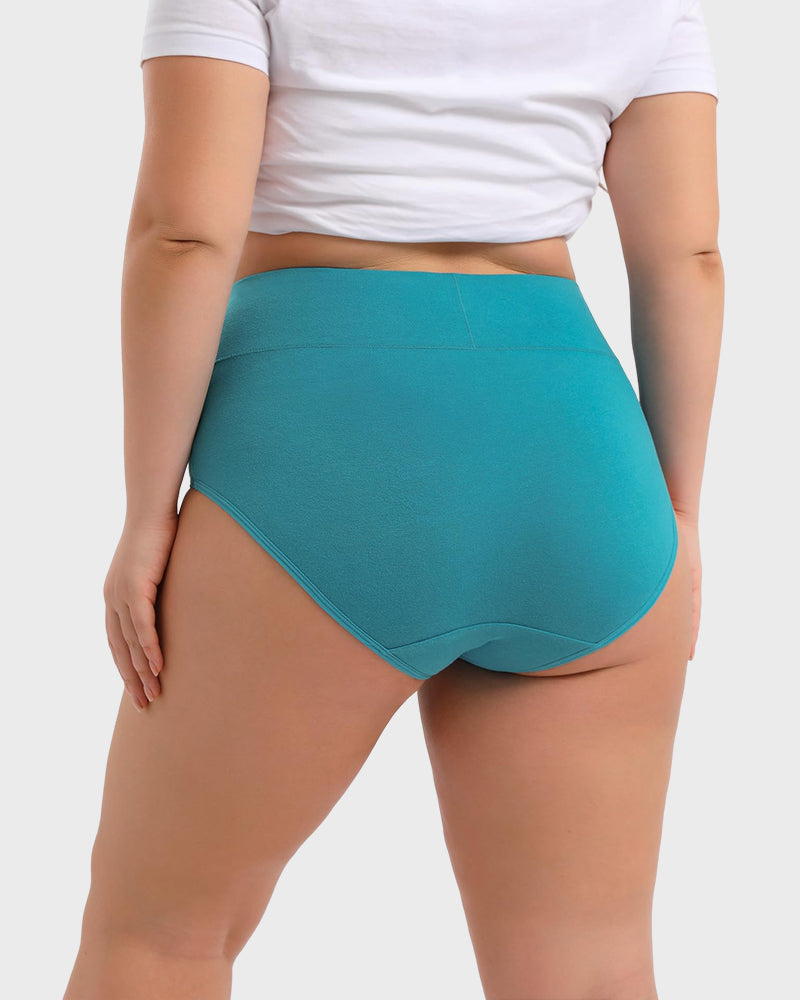 Women's Plus Size Cotton High Waisted Briefs 4-Pack