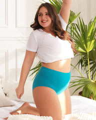 Women's Plus Size Cotton High Waisted Briefs 4-Pack